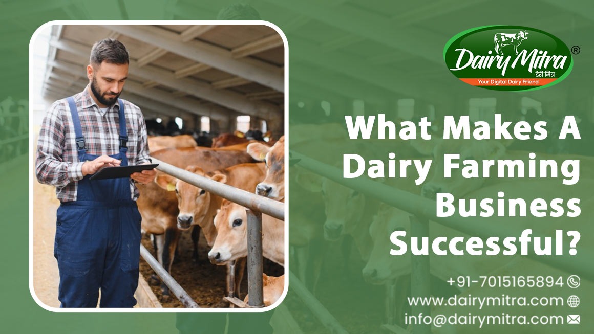What Makes A Dairy Farming Business Successful?